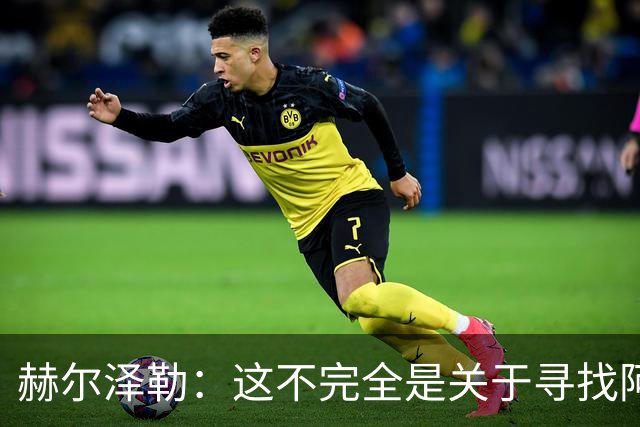 赫尔泽勒：这不完全是关于寻找阿森纳的弱点 表现比结果更重要